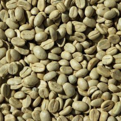 arabica_cofee_benas_shamrayan_enterprises_limited_uganda_coffee _exporters_AND_dealers (1)
