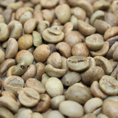 robusta_cofee_benas_shamrayan_enterprises_limited_uganda_coffee _exporters_AND_dealers (2)